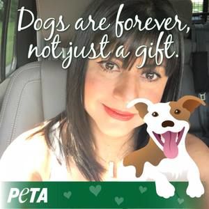 Meet your Posher, Daisy